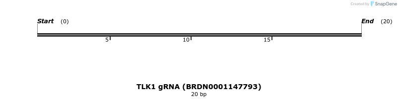 143456_map
