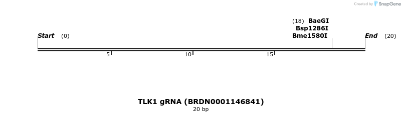 143457_map