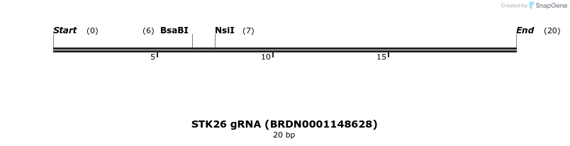 143461_map