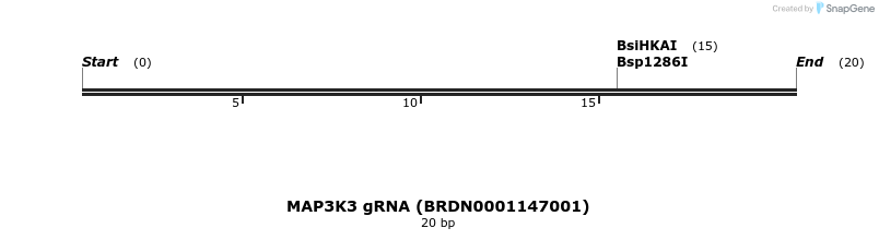 143478_map