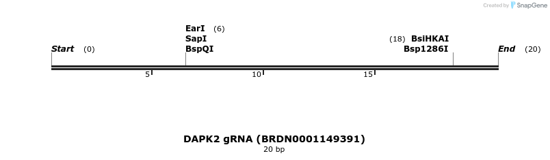 143481_map