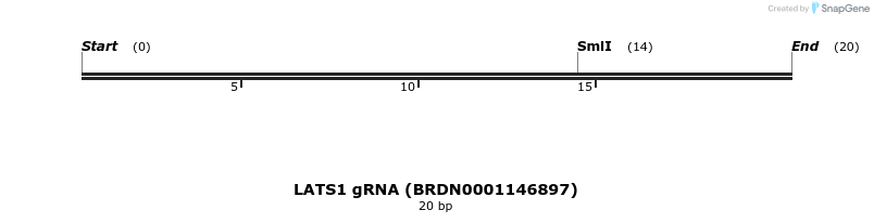 143485_map