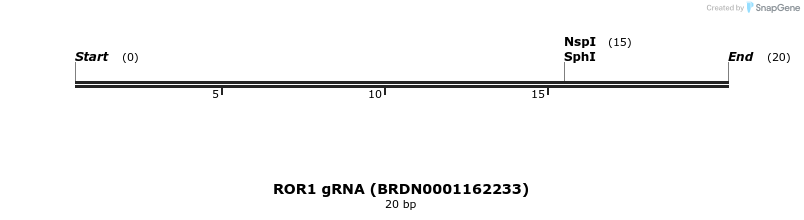 143504_map