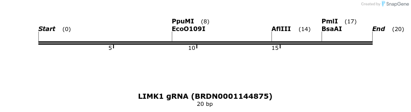 143506_map