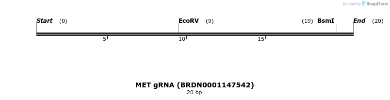 143522_map