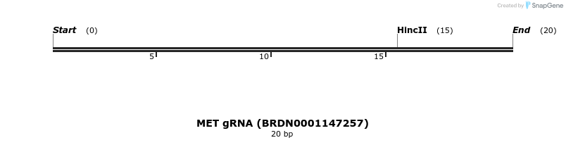 143523_map