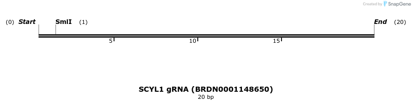 143524_map