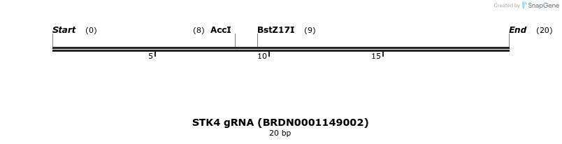 143534_map