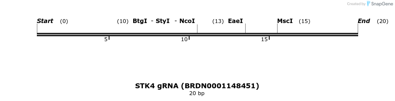 143536_map