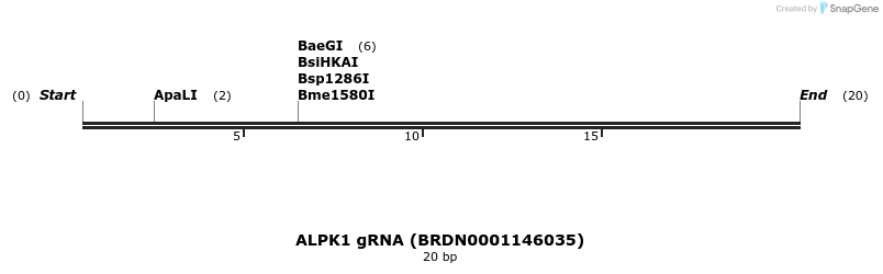 143541_map