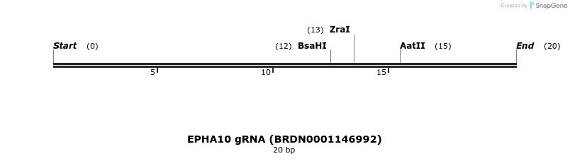 143556_map