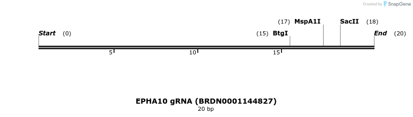143557_map