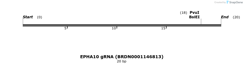143558_map