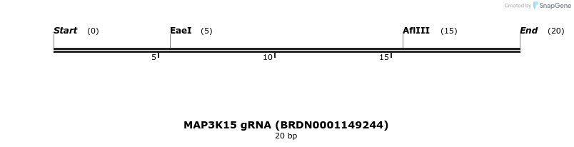 143560_map