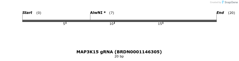 143562_map