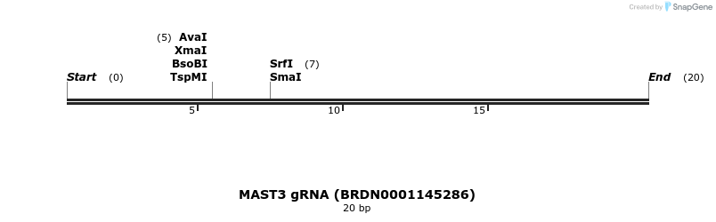 143563_map