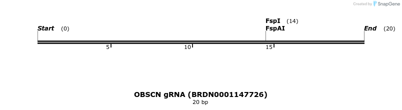 143575_map