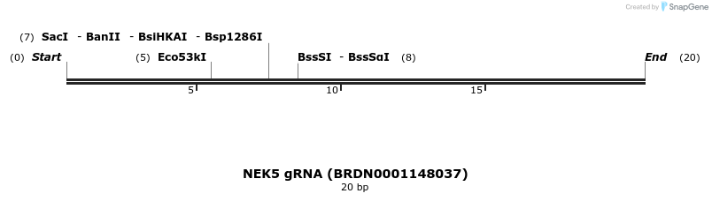 143580_map