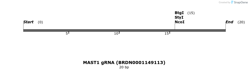 143581_map