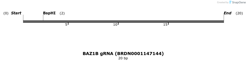 143594_map