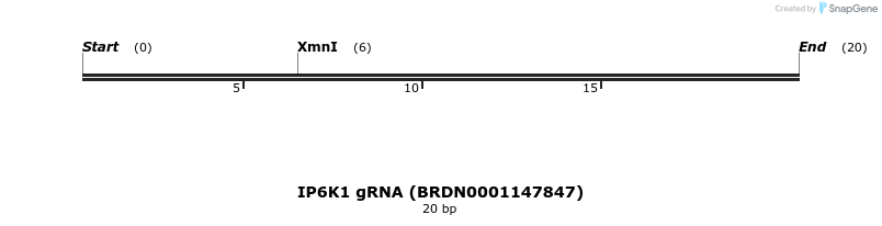 143595_map