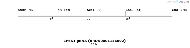 143598_map