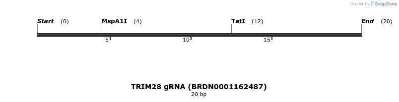 143599_map