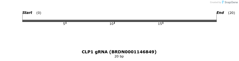 143603_map