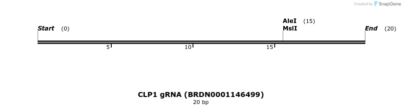 143606_map