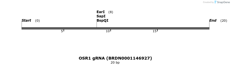 143607_map
