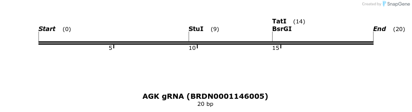 143614_map