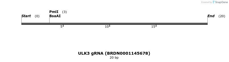 143619_map