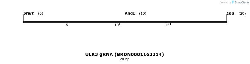 143621_map