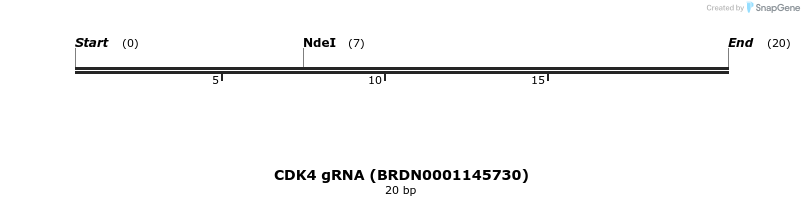 143636_map