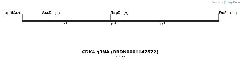 143638_map