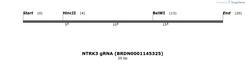 143640_map