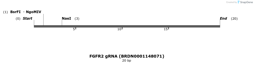 143642_map