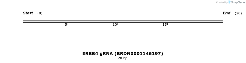 143657_map