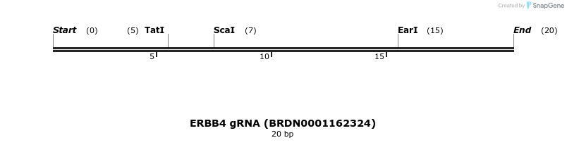 143658_map