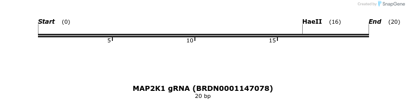 143671_map