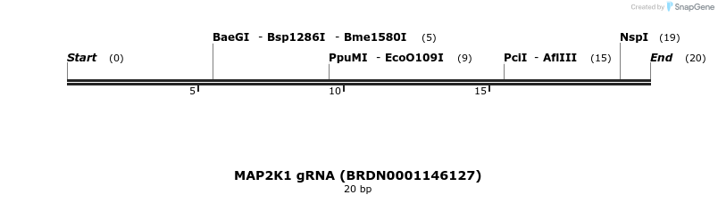 143673_map