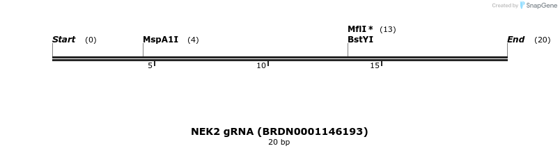 143674_map