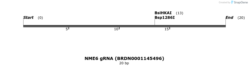 143682_map