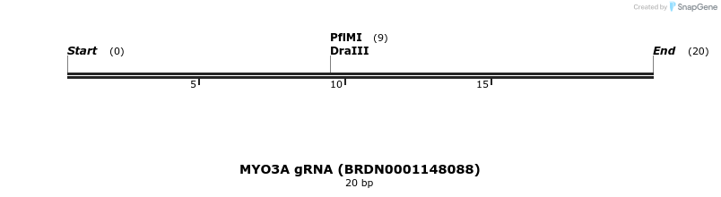 143685_map