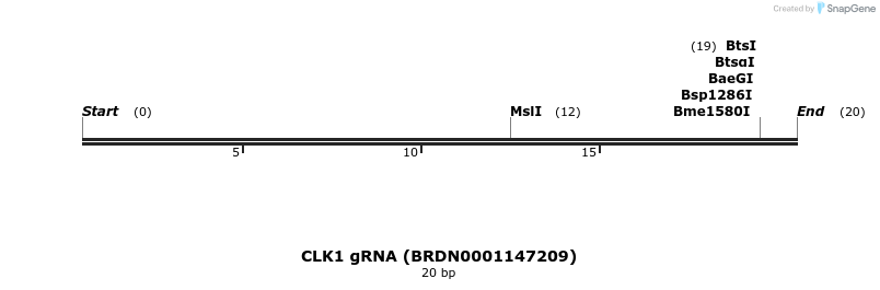 143691_map