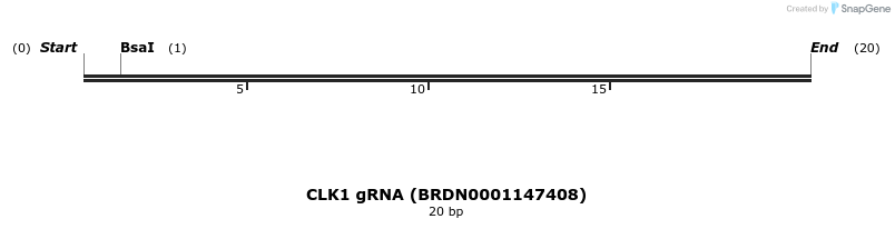143693_map