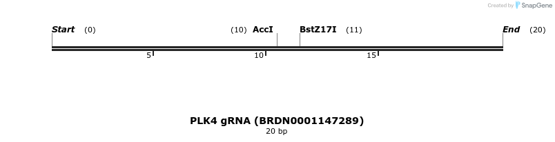 143695_map