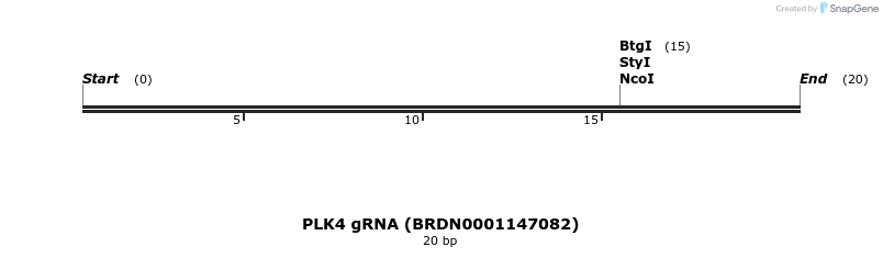 143696_map