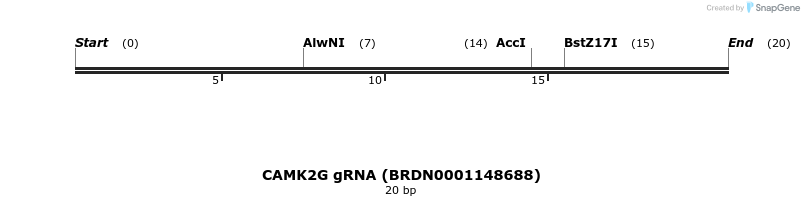 143697_map