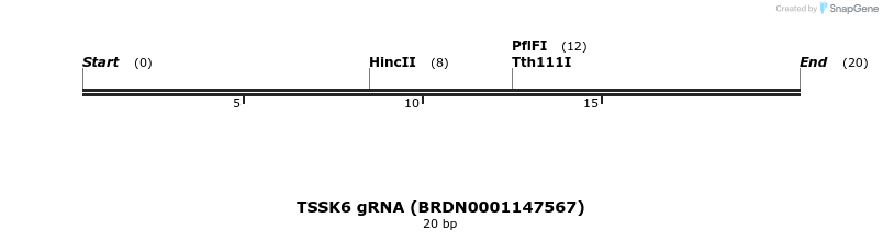 143704_map